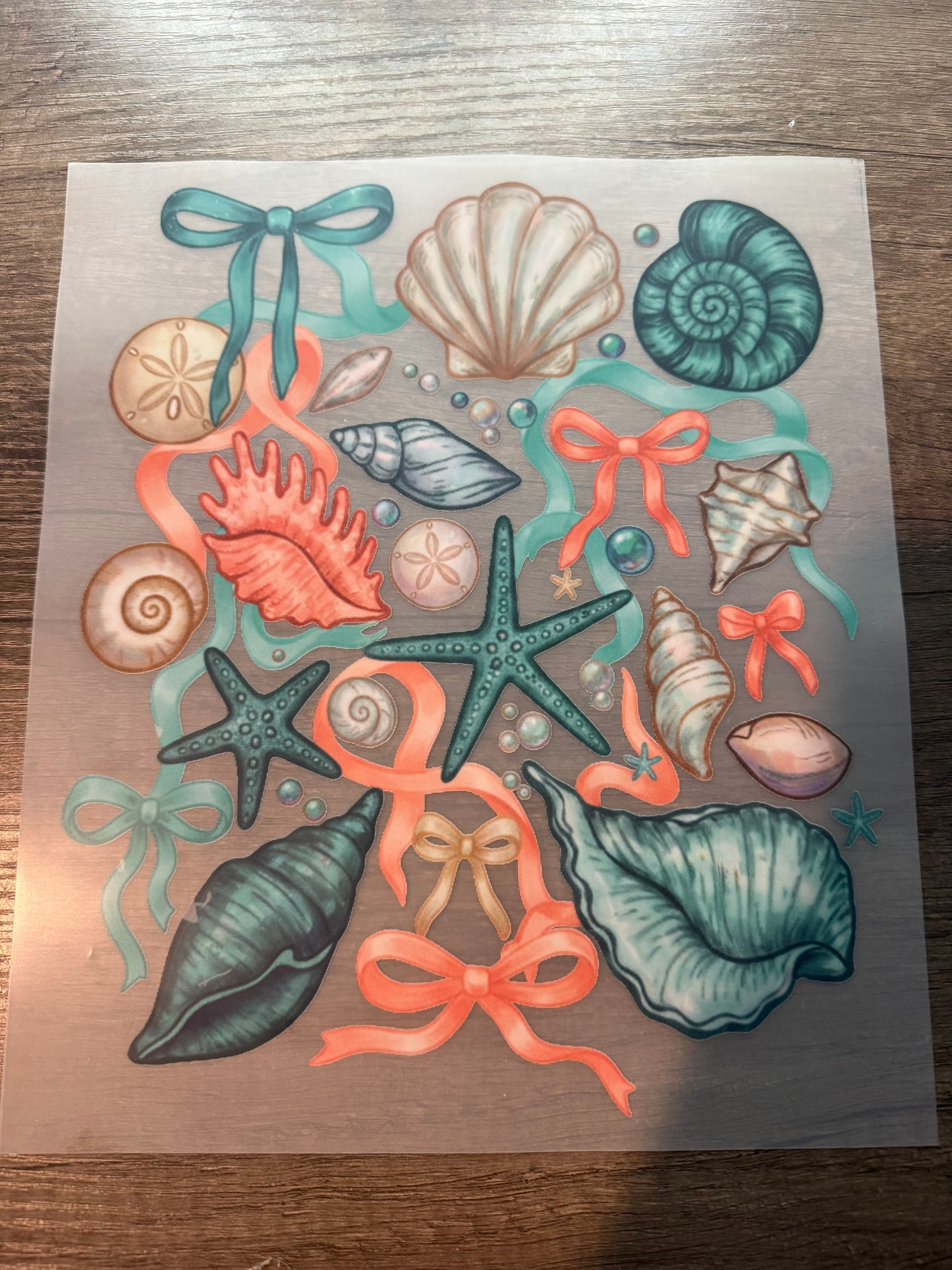sea shell transfer