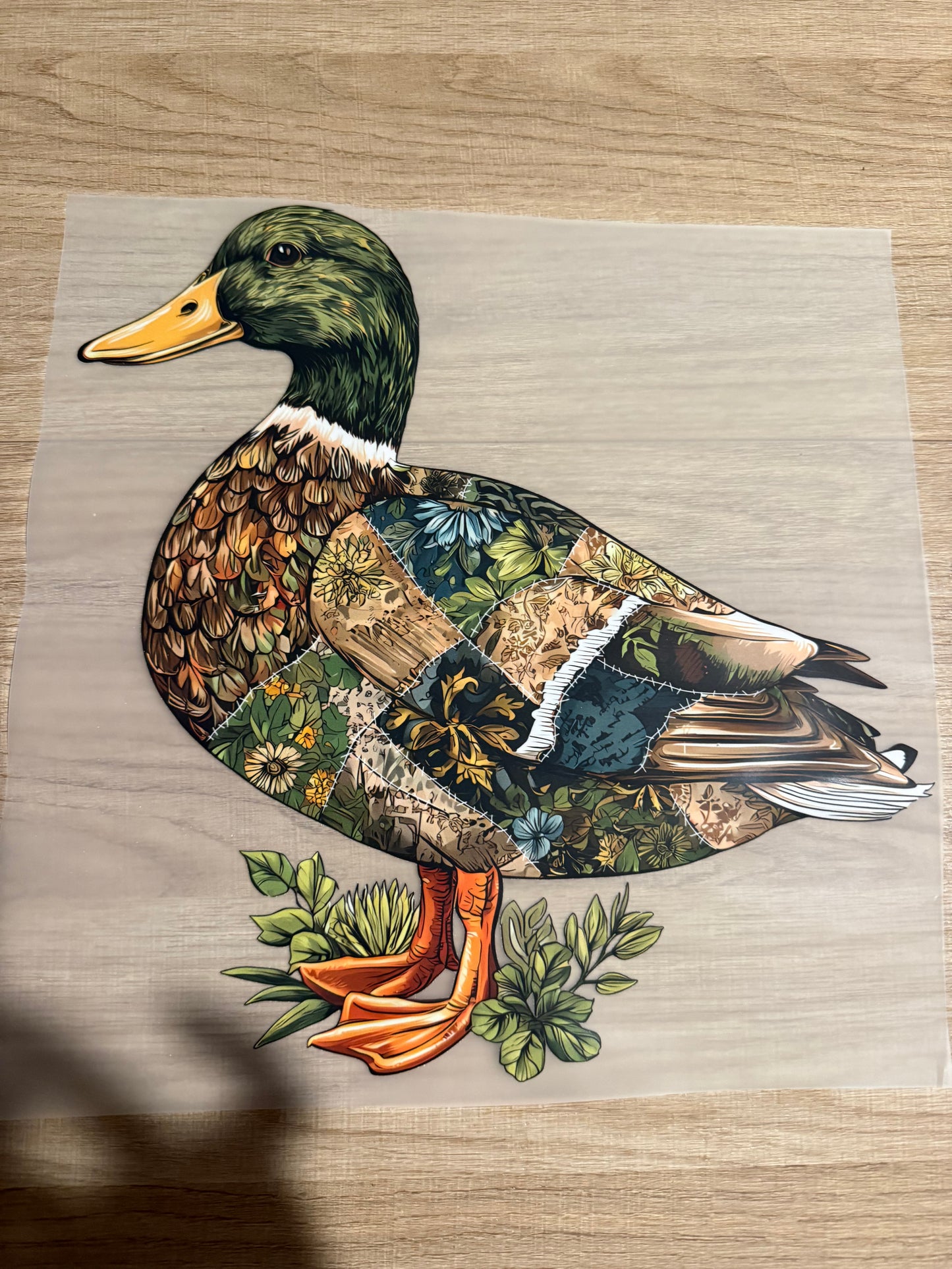 duck transfer