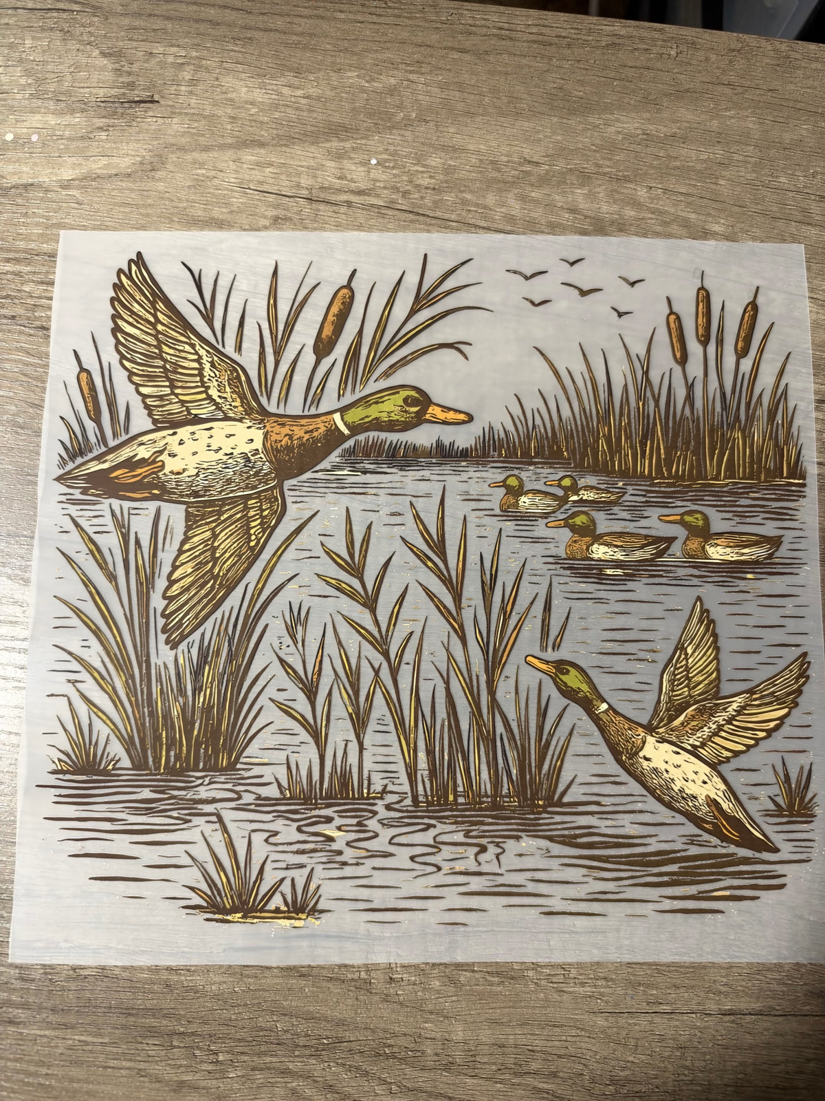 geese transfer