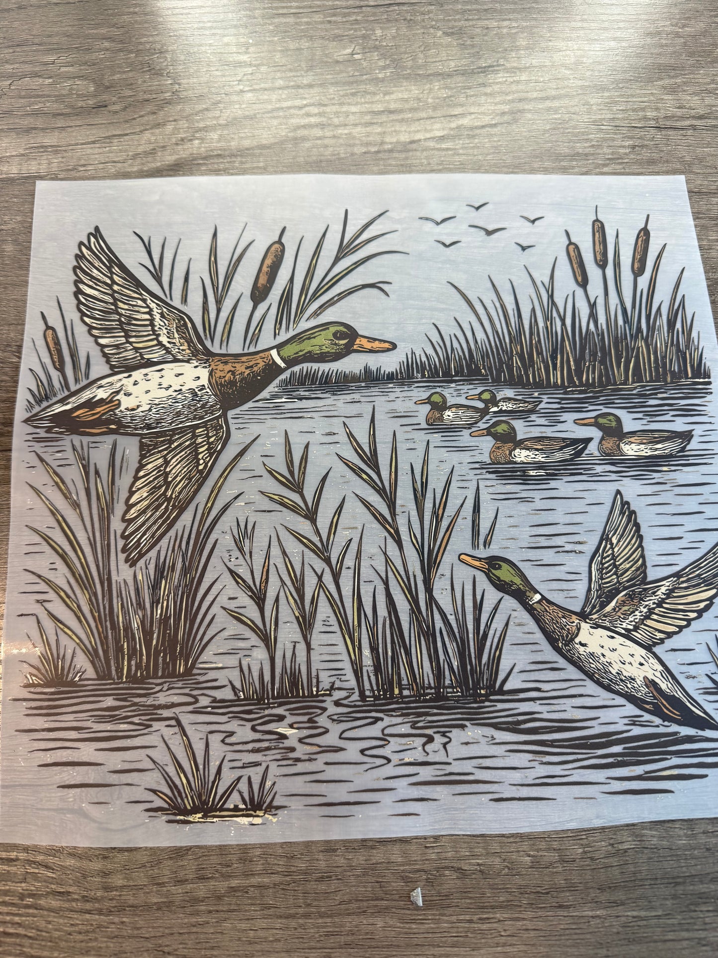 duck transfer