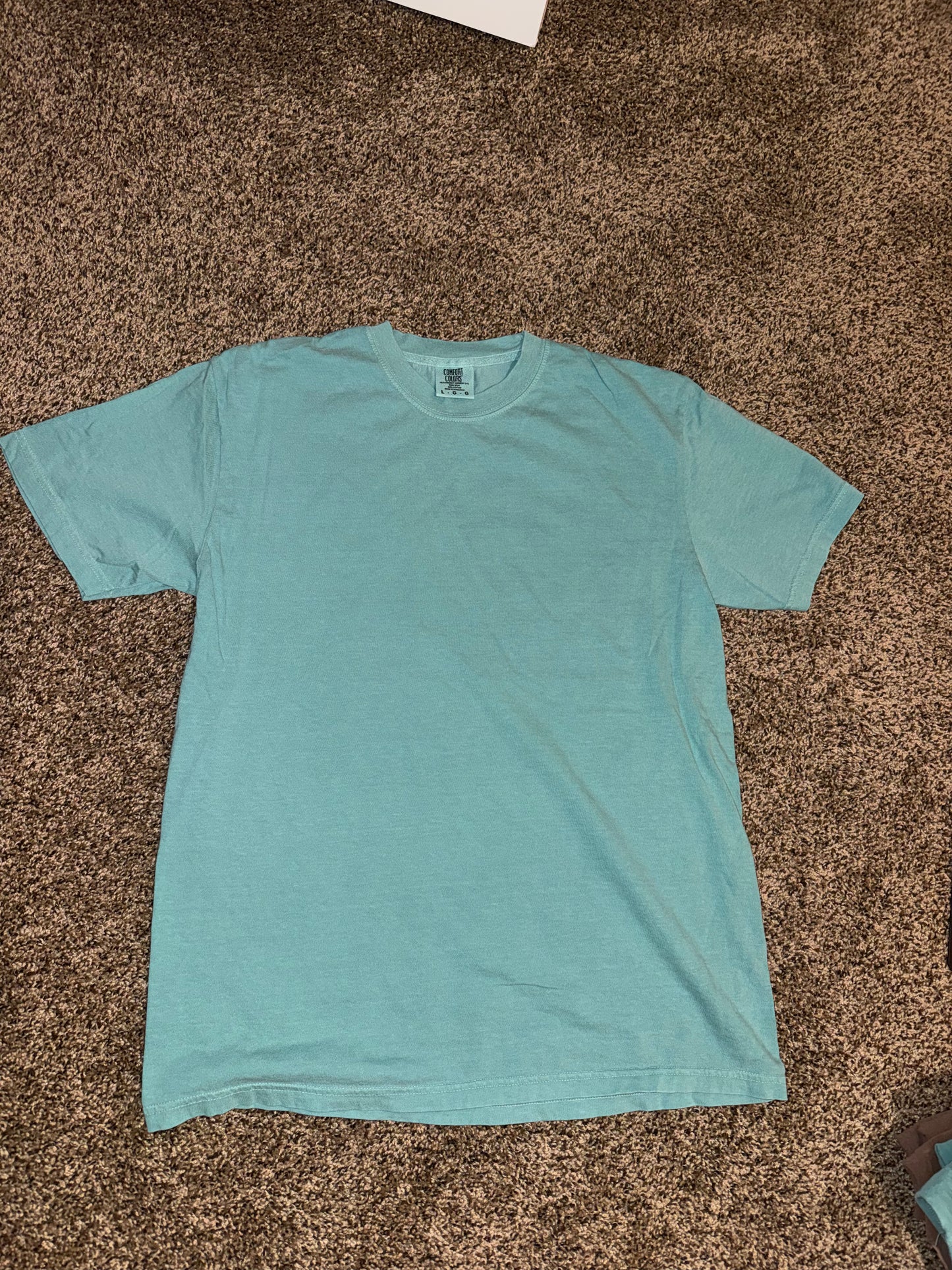 sea foam green comfort colors t-shirt