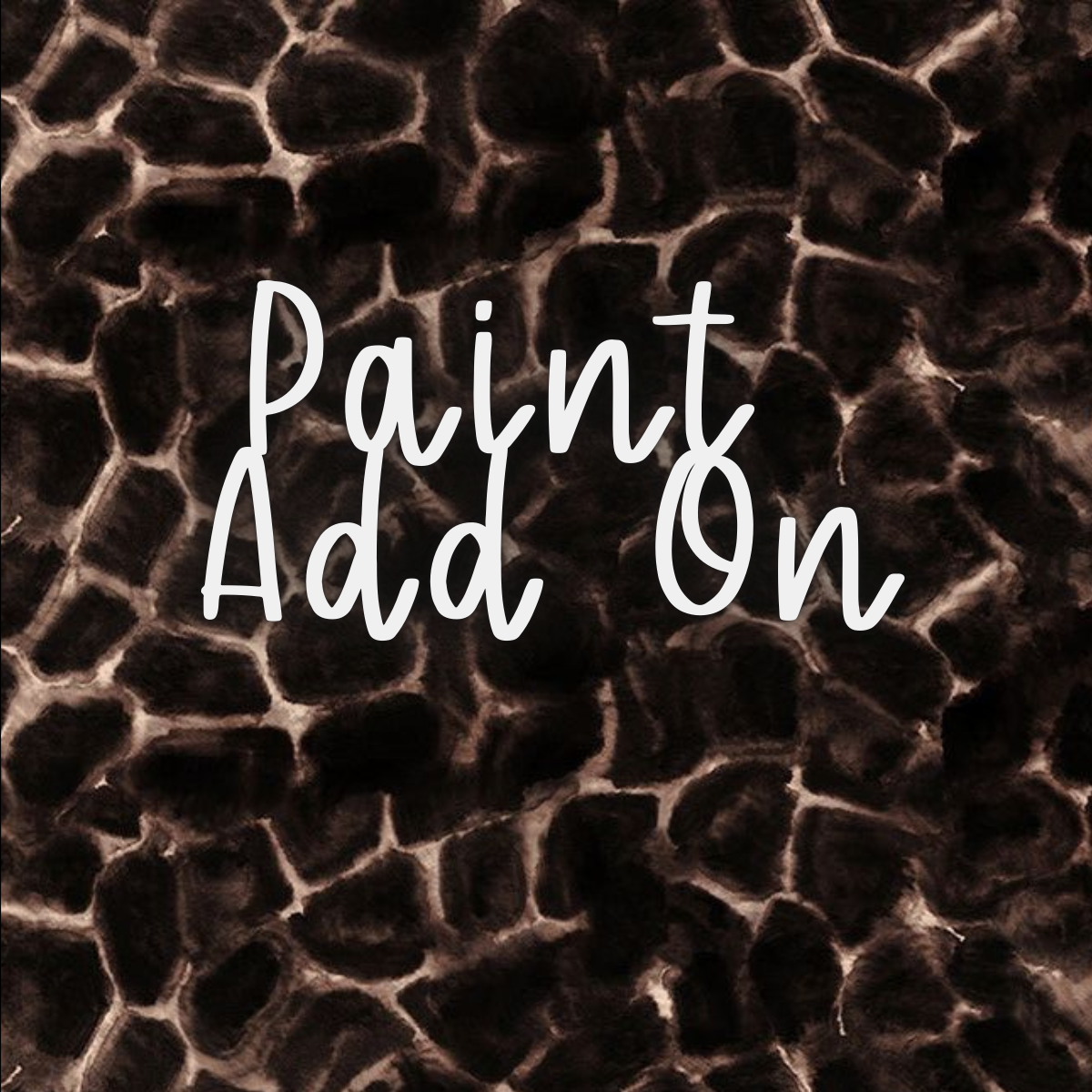 Paint Add On