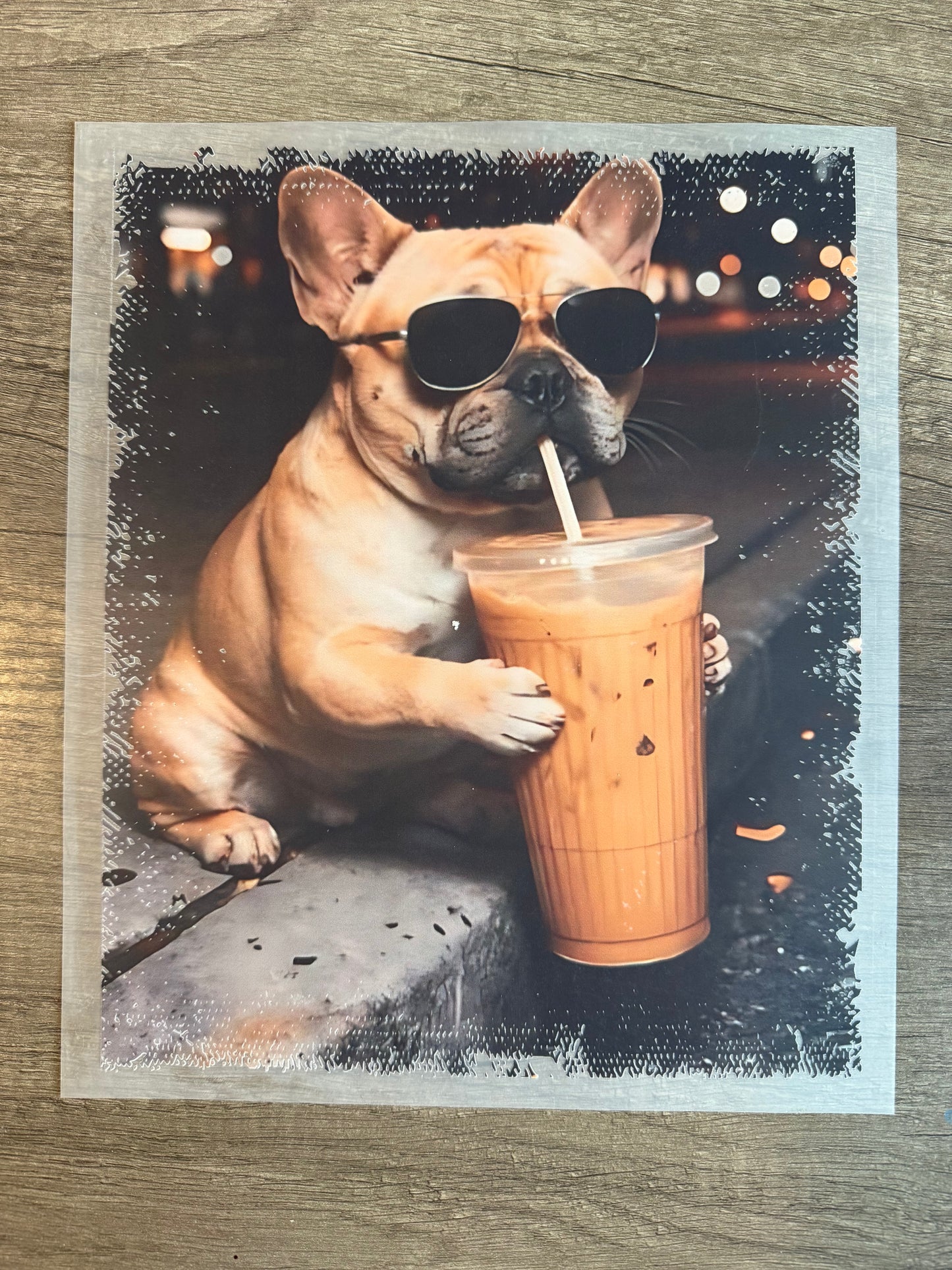 frenchie sipping coffee transfer