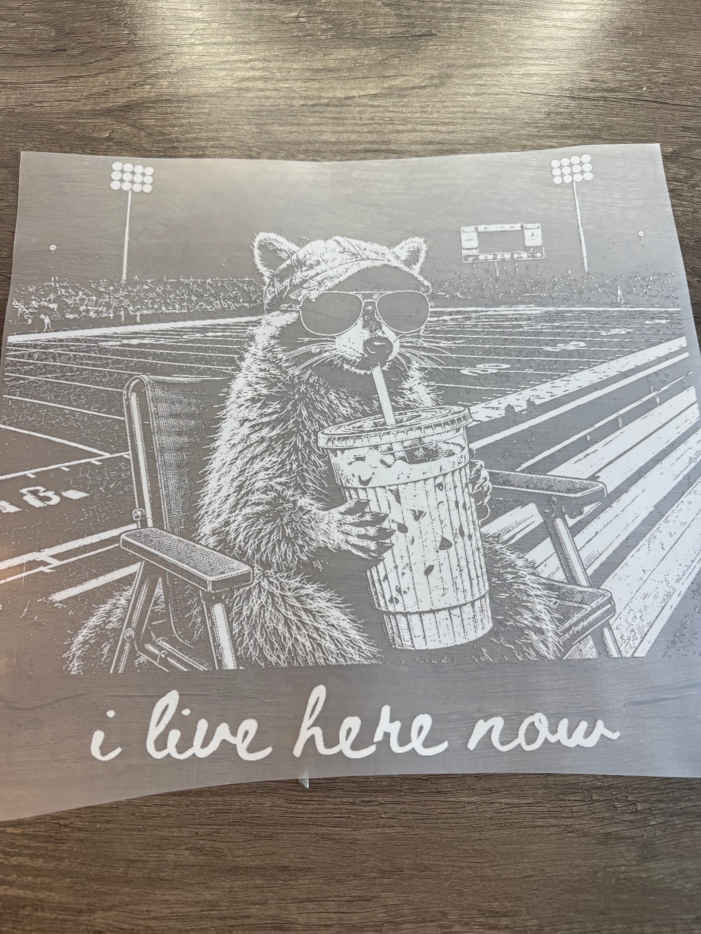 i live here now raccoon transfer