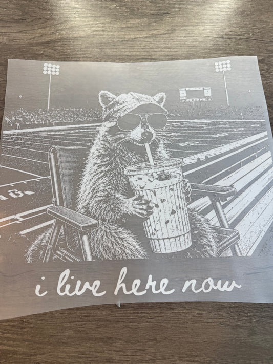 i live here now raccoon transfer