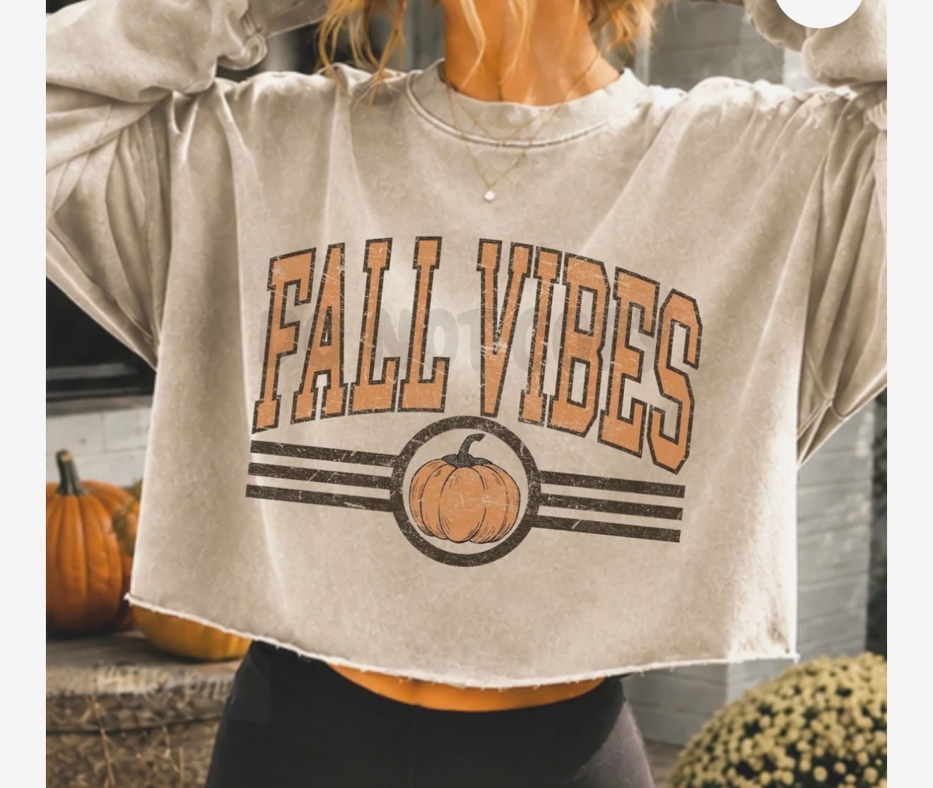 fall vibes transfer
