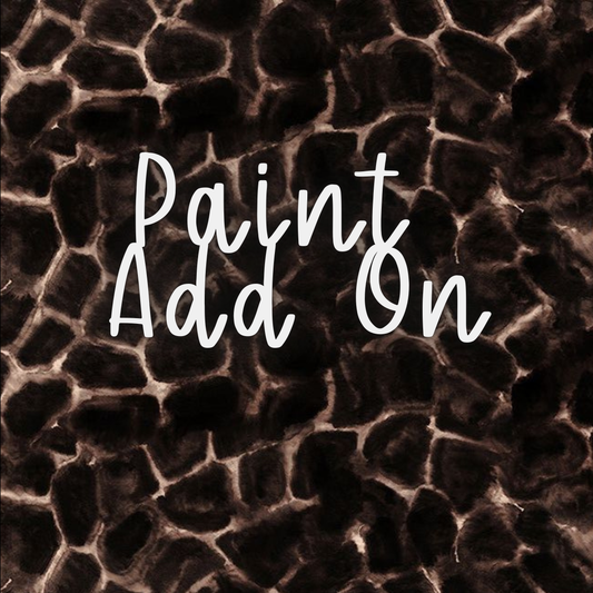 Paint Add On