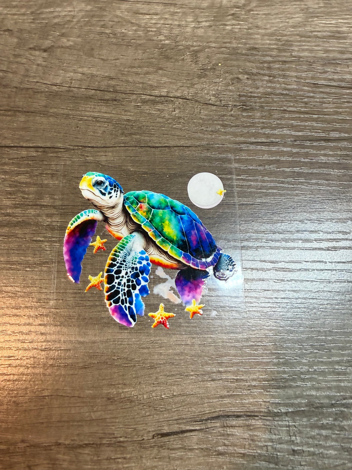 turtle decal