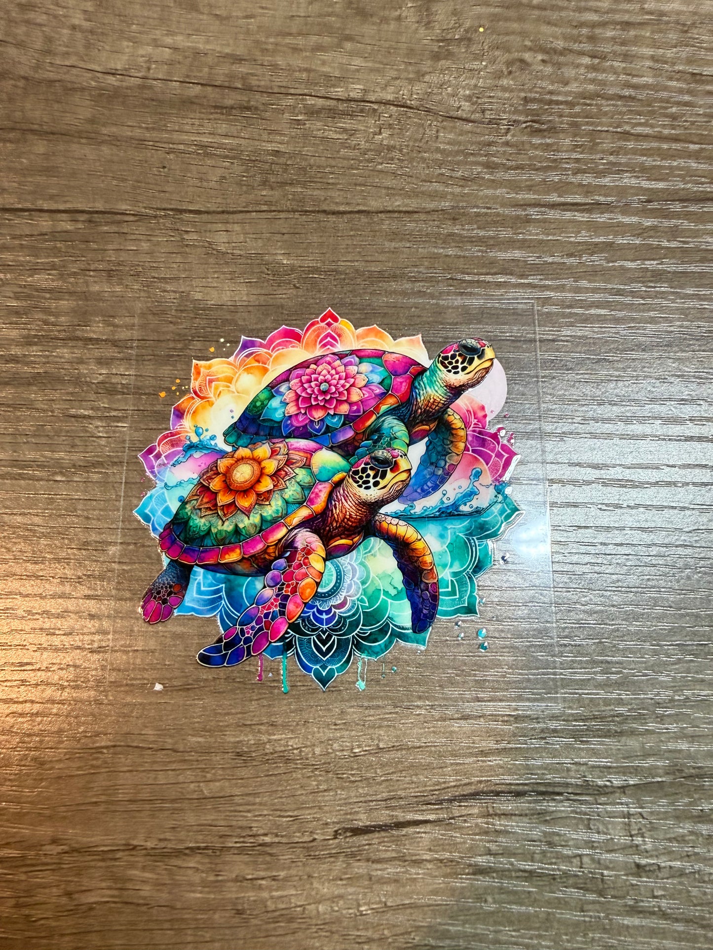 turtle decal